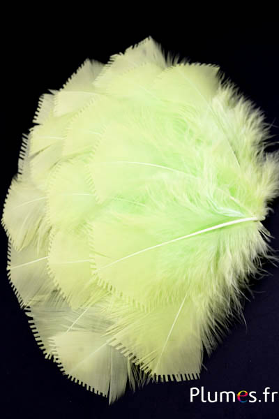 Dinde effilée - 6-8 cm - anis